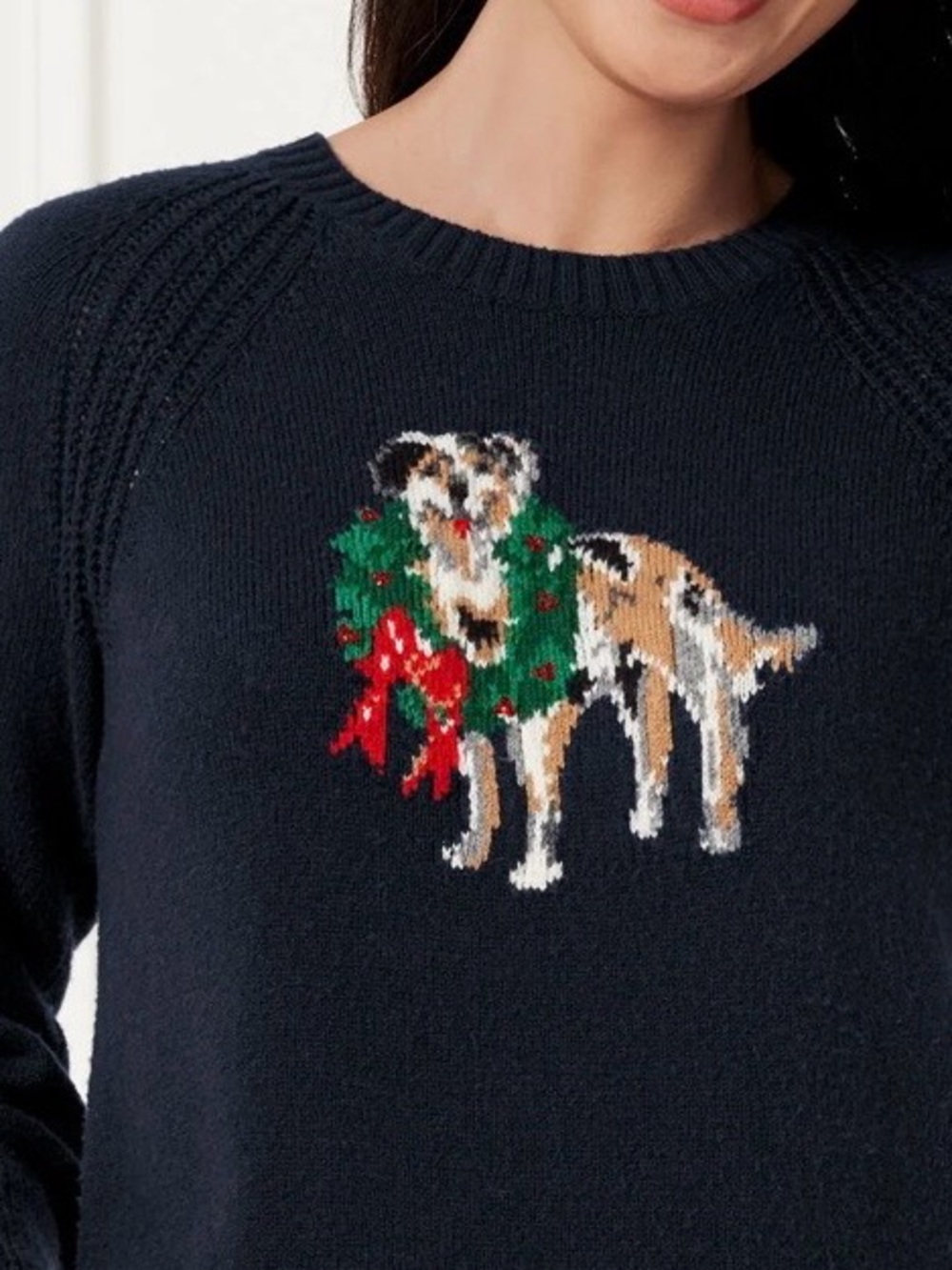 Talbots Holiday Crew Sweater L Dog Christmas Navy Novelty Party Embellished
